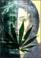 christ cannabis