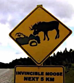 invinsible moose warning, etc.
